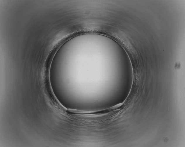 X0000094430583200711081228
