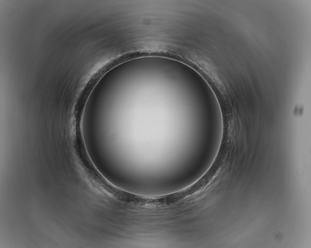 X0000094430584200711081228