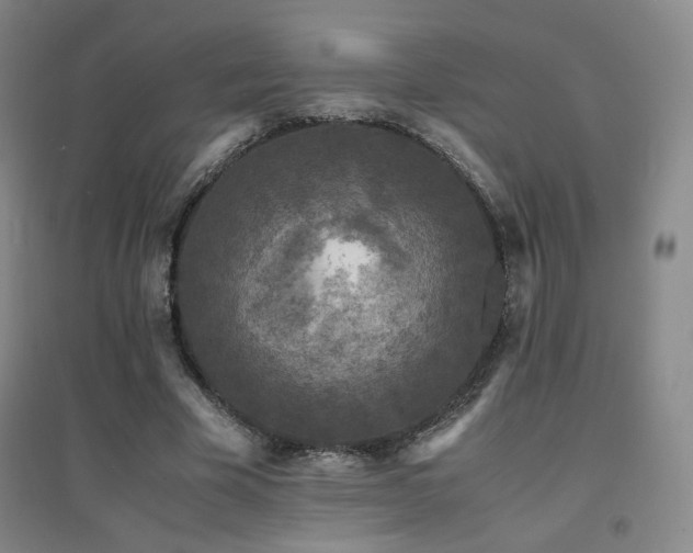 X0000094430585200711081228