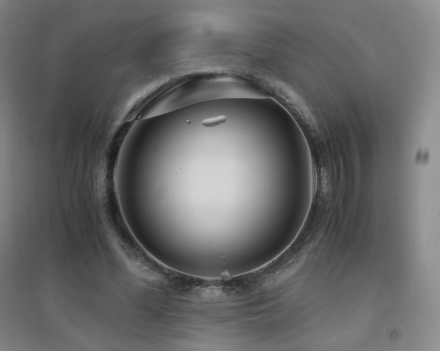 X0000094430588200711081228