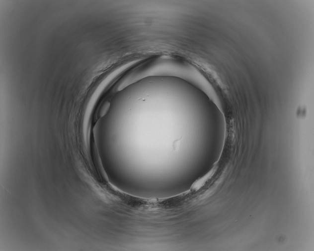 X0000094430589200711081228