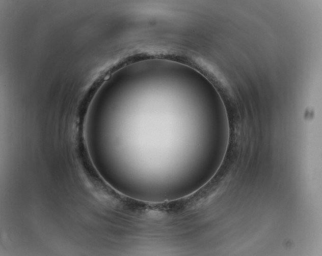 X0000094430592200711081227