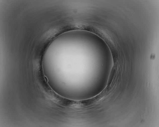 X0000094430595200711081227