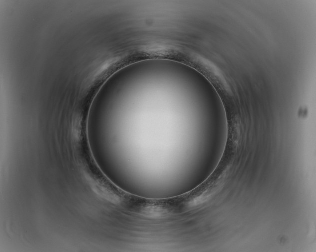 X0000094430596200711081227