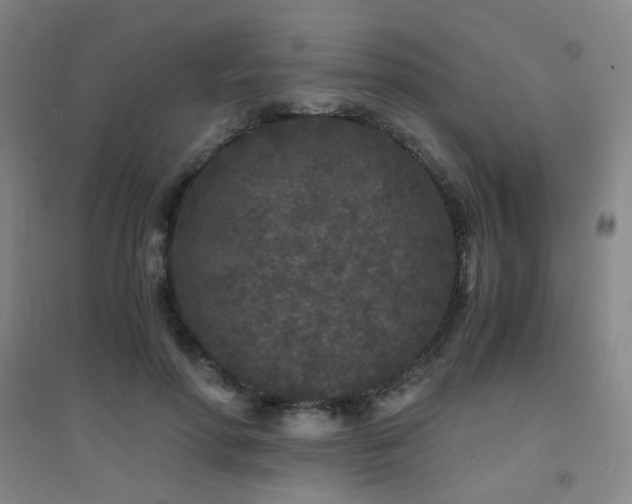 X0000094430598200711081227