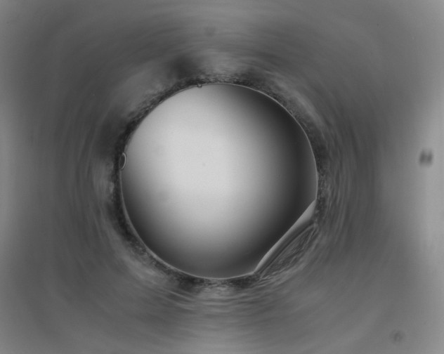 X0000094430599200711081227