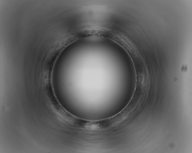 X0000094430602200711081227