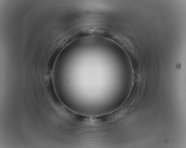 X0000094430607200711081227