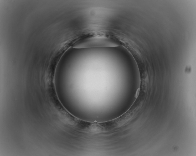 X0000094430608200711081227