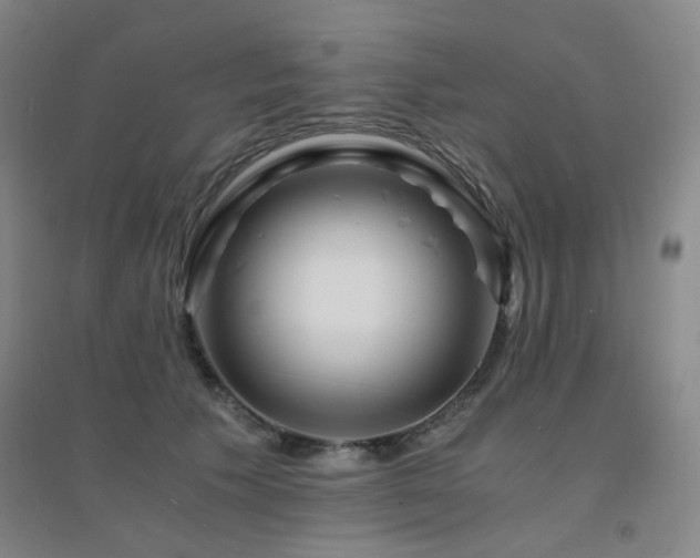 X0000094430609200711081227