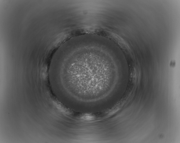 X0000094430610200711081227