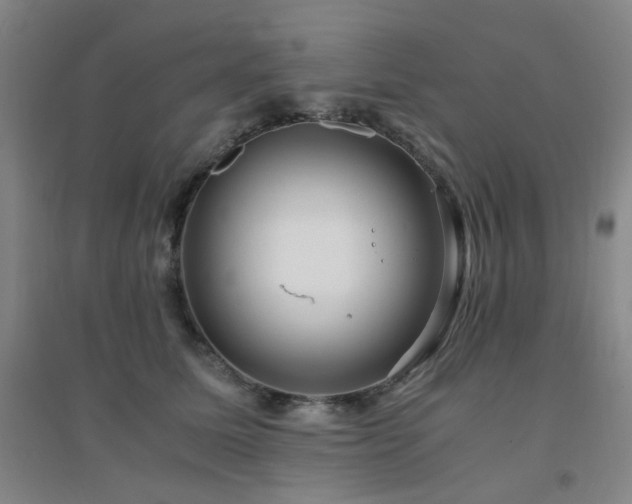 X0000094430611200711081227