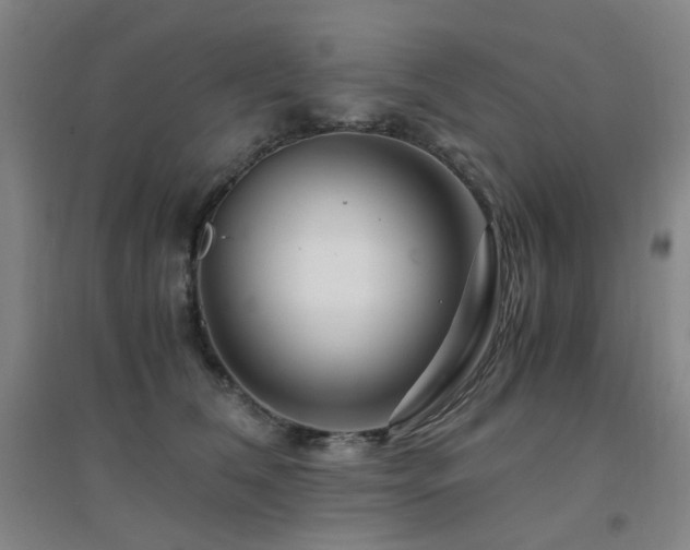 X0000094430612200711081227