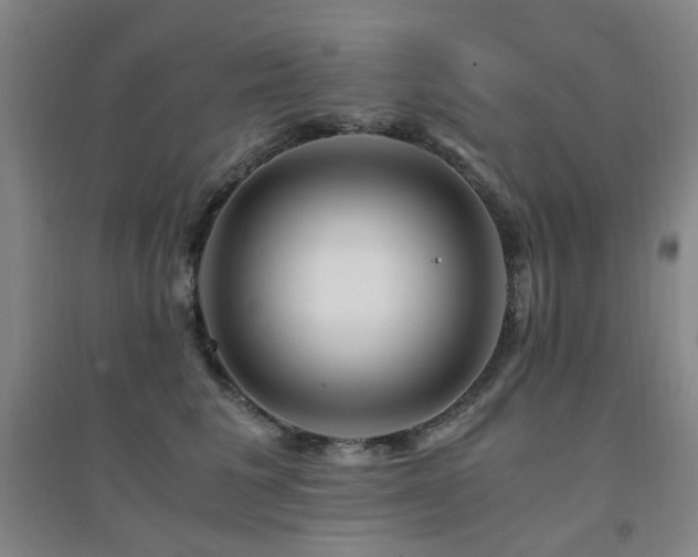 X0000094430613200711081227