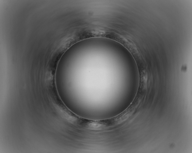X0000094430614200711081227