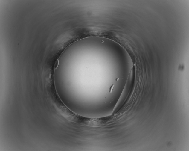 X0000094430615200711081227