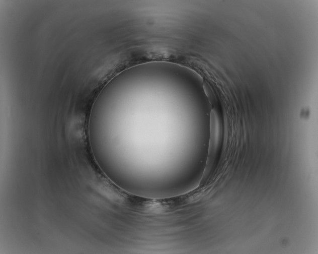 X0000094430616200711081227