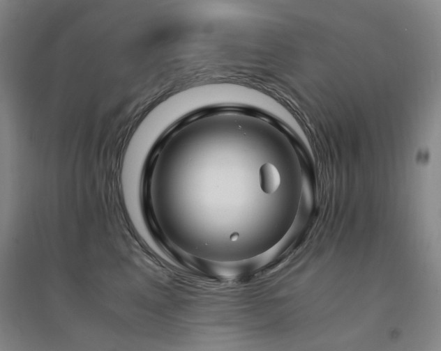 X0000094430617200711081227