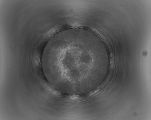 X0000094430618200711081227