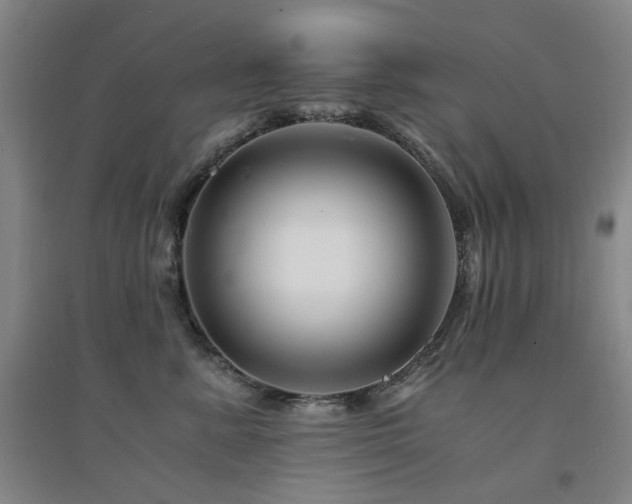 X0000094430619200711081227