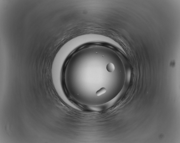 X0000094430621200711081227