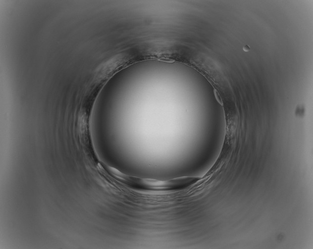 X0000094430623200711081227