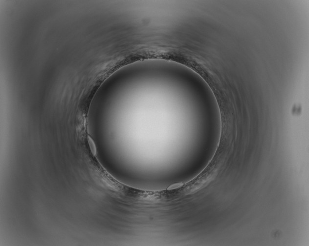 X0000094430624200711081227