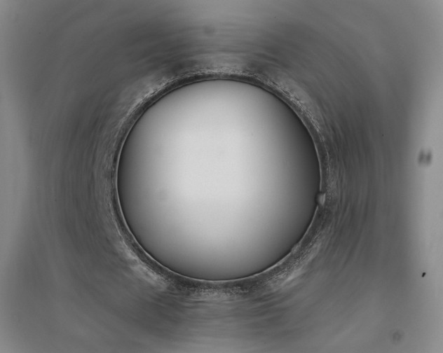 X0000094430625200711081226