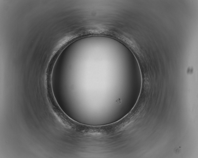 X0000094430626200711081226