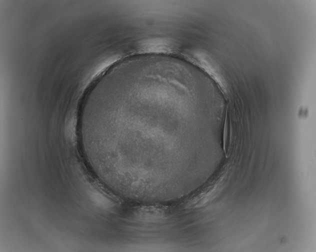 X0000094430627200711081226