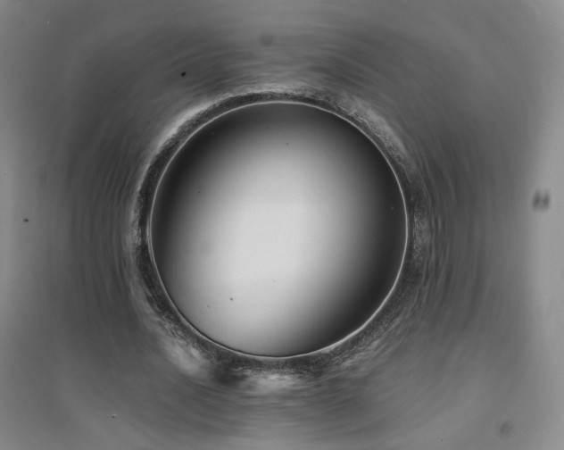 X0000094430628200711081226