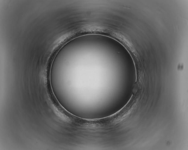 X0000094430629200711081226