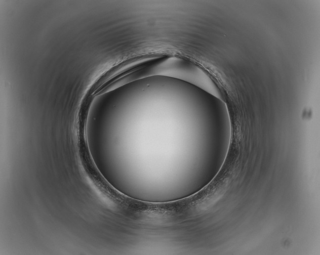 X0000094430630200711081226