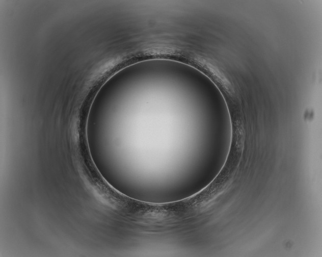 X0000094430631200711081226