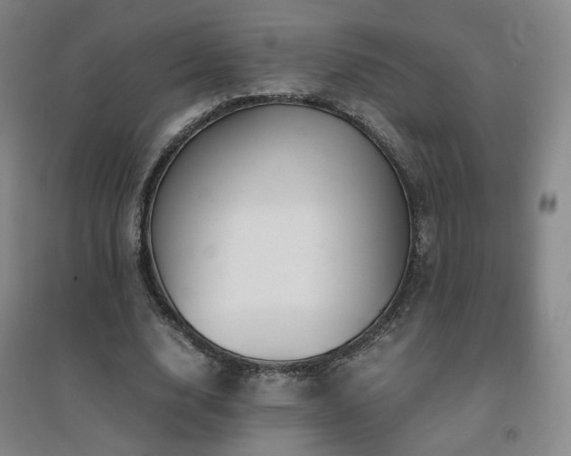 X0000094430632200711081226