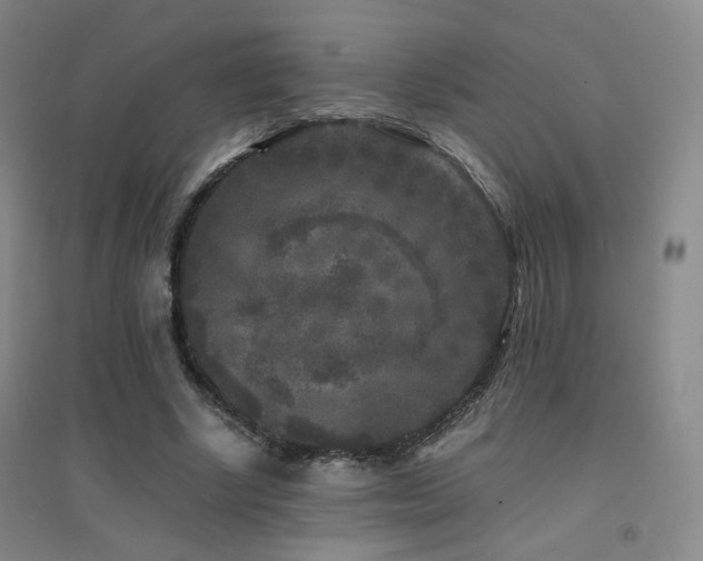 X0000094430634200711081227