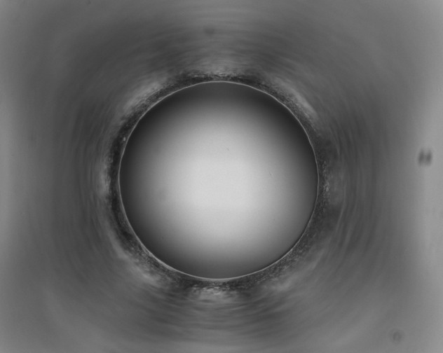 X0000094430635200711081227