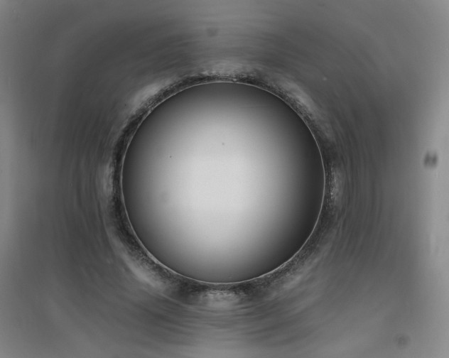 X0000094430636200711081227