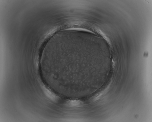 X0000094430637200711081227