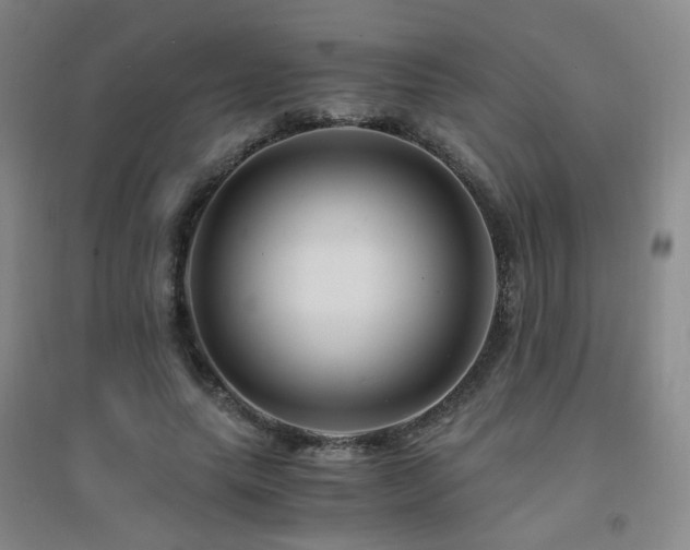 X0000094430639200711081227