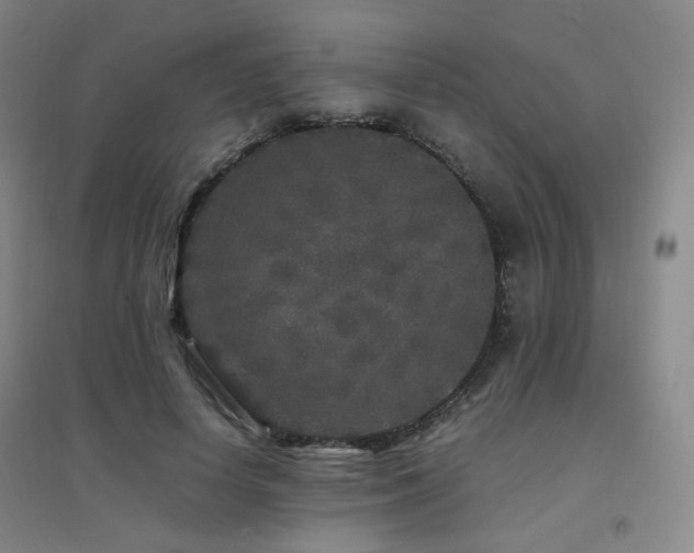 X0000094430642200711081227