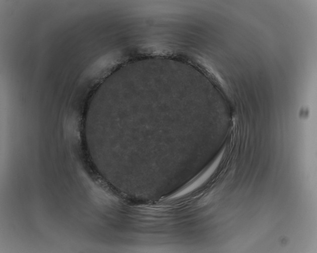 X0000094430643200711081227