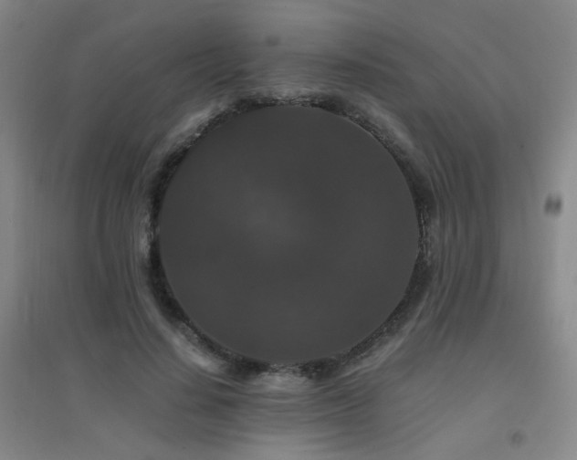 X0000094430644200711081227