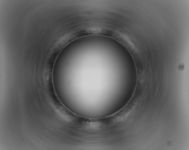 X0000094430645200711081227