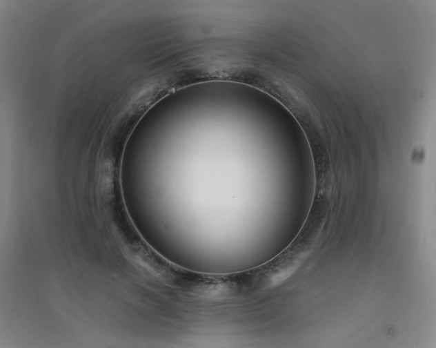 X0000094430646200711081227