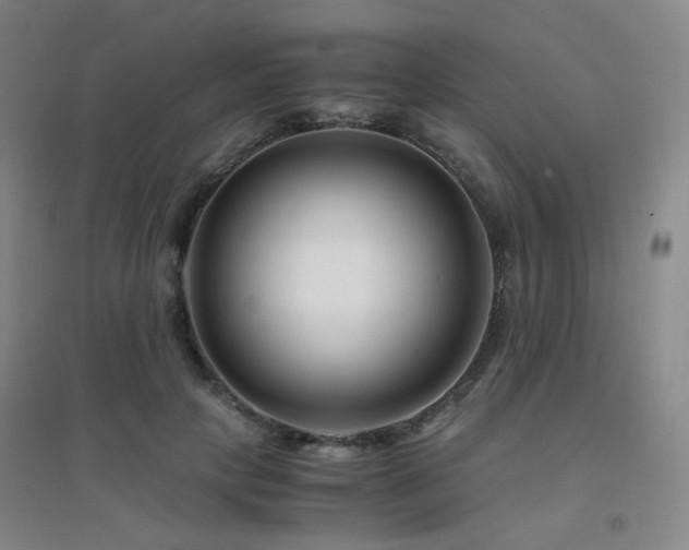 X0000094430649200711081227