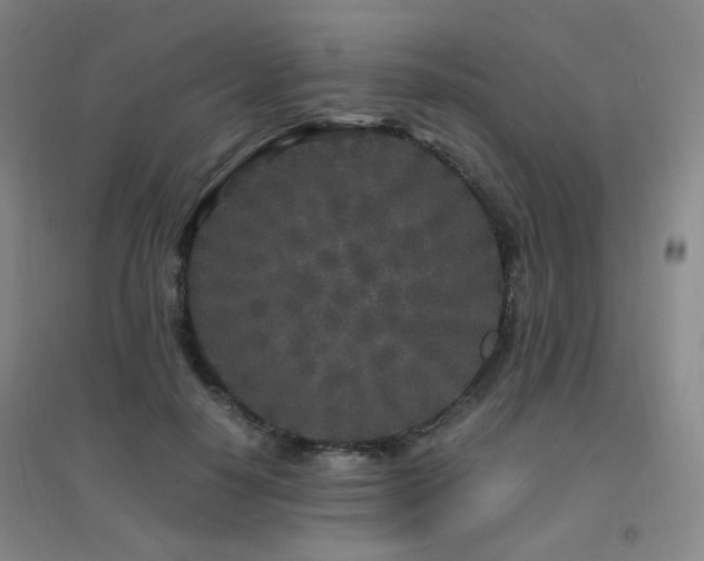 X0000094430650200711081227