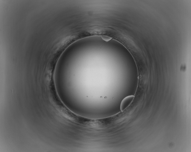X0000094430652200711081227