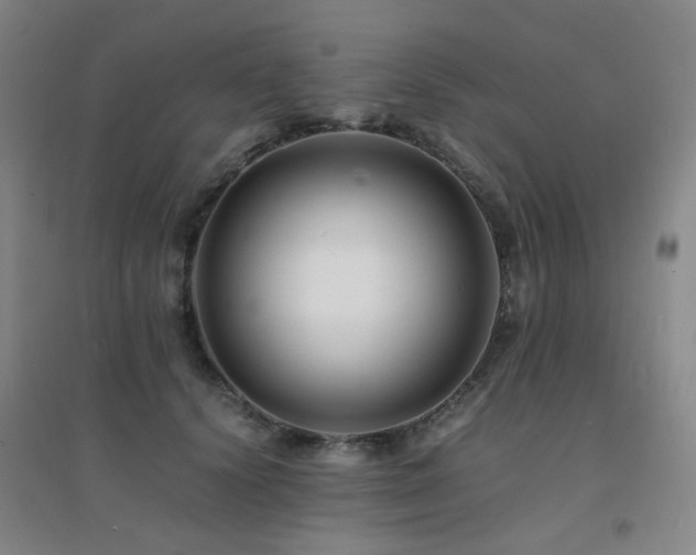 X0000094430656200711081227