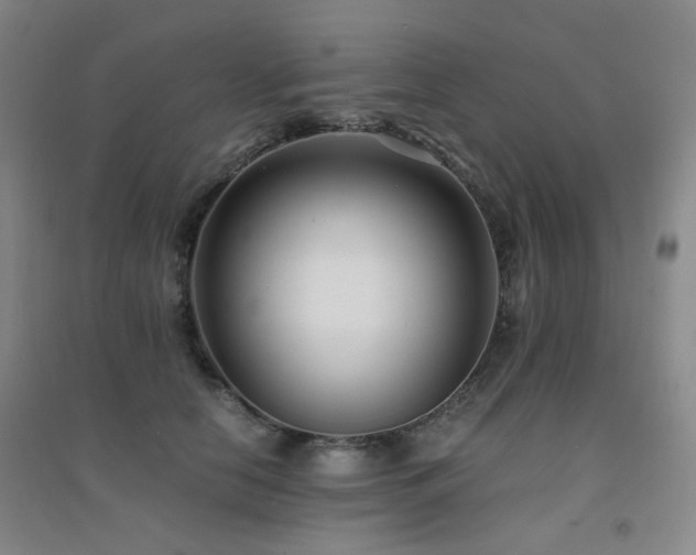X0000094430658200711081227